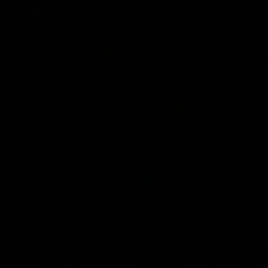 Meet your Posher, Paige